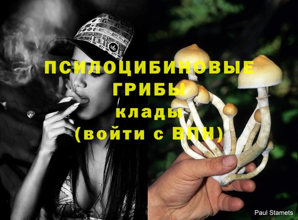 кокаин Алексеевка