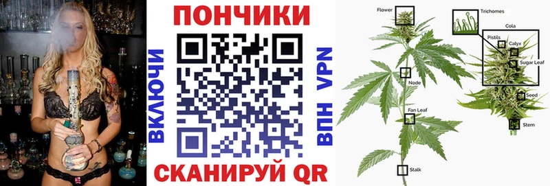 Канабис конопля Берёзовский